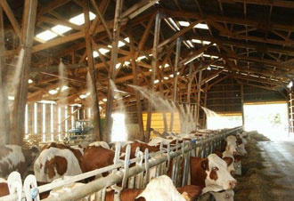 養(yǎng)殖場(chǎng)噴霧消毒設(shè)備工程案例